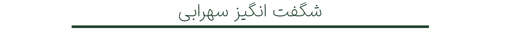 شگفت-انگیز
