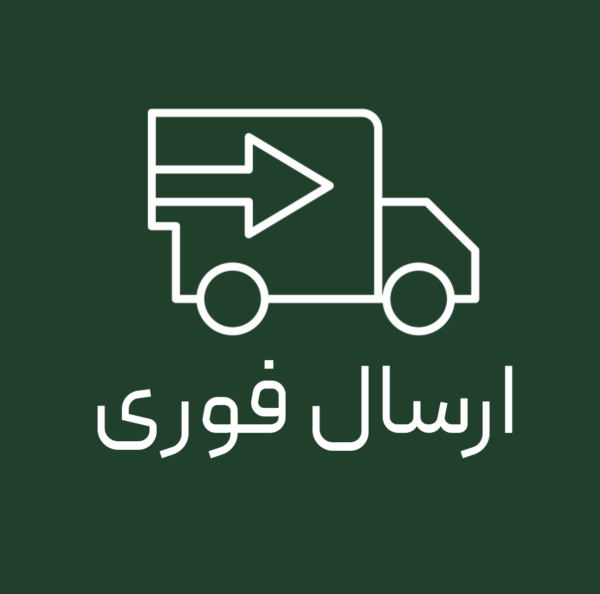 ویژگی-سایت-2